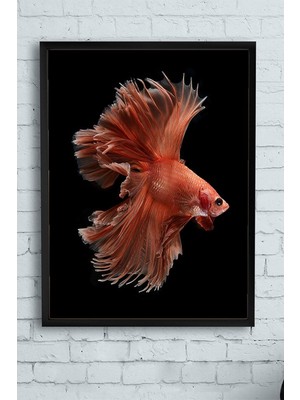 Sanatsal Balık Hayvan Çerçeveli Tablo 50X70CM