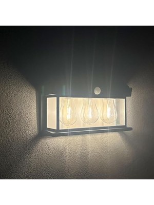 TeknoKapsül Panter Solar Güneş Enerjili Lamba, Hareket Sensörlü Duvar Lambası, Gün Işığı Filament LED Solar Aplik, 3 Modlu, IP65 Su Geçirmez, Bahçe Balkon Teras Garaj Dış Mekan Aydınlatma (3 Ampul)