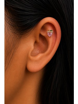 Semtim Kuyumculuk Sertifikalı 316L Çelik Pembe Kalp Taşlı Çilek Figürlü Yeşil Yaprak Detaylı Premium Altın Kaplama Tragus ve Helix Piercing Gold 31
