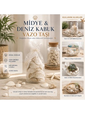 Poşetli Renkli Mix Midye - Deniz Kabuk Vazo Taşı BX40