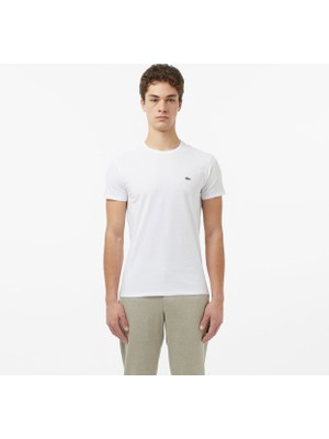 Lacoste Slim Fit Basic Erkek T-Shirt