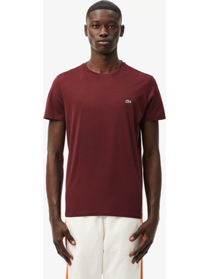 Lacoste Slim Fit Basic Erkek T-Shirt