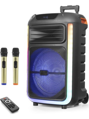 Skygo Çift Karaoke Mikrofonlu Bluetooth Hoparlör Fm Radyo 40W 15 İnç Rgb Kumandalı Siyah NDR325