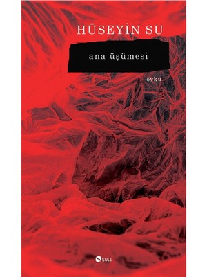 Şule Yayınları Ana Üşümesi
