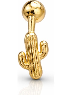 Defne Silver Gümüş Kaktüs Piercing