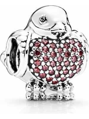 Defne Silver Robin Kuş Charm