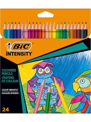 Color Up Üçgen Kuru Boya Kalemi, 24'lü Kutu