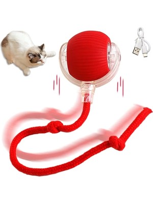 Ttt Şarjlı Kedi Oyuncağı