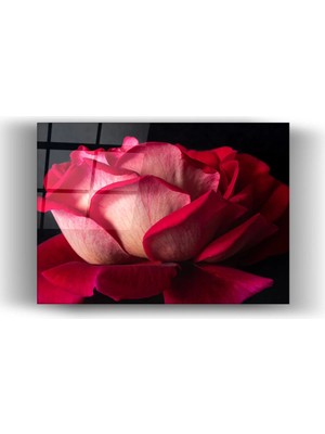 Mgi Design Lüks Floral Sanat | Koyu Zeminde Canlı Kırmızı Gül Desenli Yatay Cam Tablo-Ev-Ofis Dekorasyon