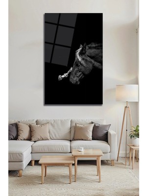 Mgi Design Siyah Beyaz At ve Insan Temalı Minimalist Cam Tablo – Duygusal Modern Duvar Dekoru | Portre Temalı Dekoratif Duvar Tablosu, Salon ve Yatak Odası Dekoru,
