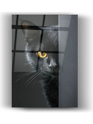 Mgi Design Kara Kedi-Cam Tablo- Ev ve Ofis Dekorasyonu