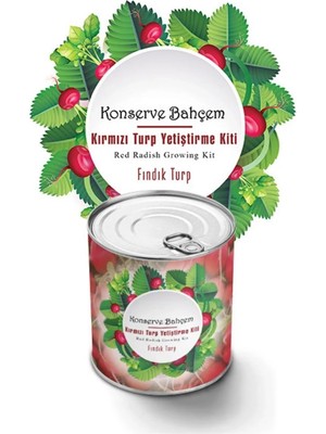 Akıllı Bayi Konserve Bahçem Evde Konservede Fındık Turp Yetiştirme Kiti