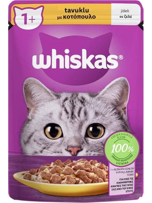 1001 Tavuklu Poşet Kedi Yaş Mama 85 G Tekli Paket