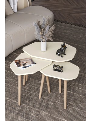 Belirtilmemiş Trio Zigon Sehpa Ekru 3 Lü
