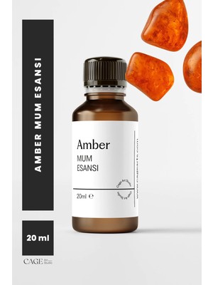 Cage Art Studio Amber Mum Esansı 20 ml - Yüksek Kalite Mum Koku Esansı, Soya Wax ve Parafin Uyumlu