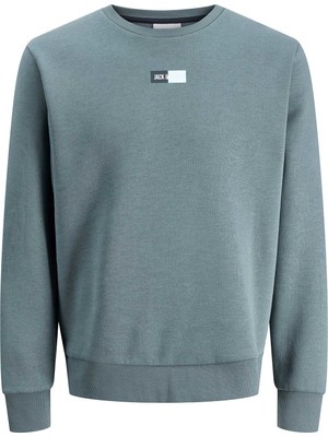 Jack & Jones Jjpan Sweat Crew Neck Smu