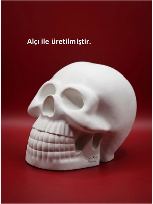 Canseb Elegance 10CM Kuru Kafa Heykeli - Dekoratif Obje Biblo