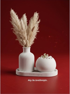 Canseb Elegance Üçlü Pampas Vazosu & Saksı Sukulent Dekoratif Obje Seti