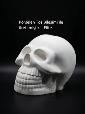 Canseb Elegance 10CM Kuru Kafa Heykeli - Dekoratif Obje Biblo
