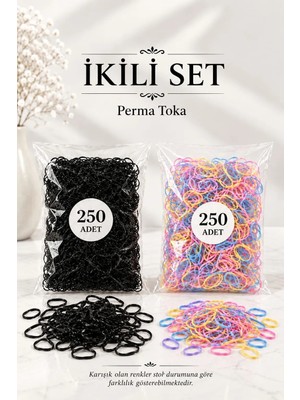 Invictus Design Kadın 250 Karışık Asortik Renkli ve 250 Siyah Minik Perma Örgü Lastik Toka Toplam 500 Adet Ekonomik 2'li Set