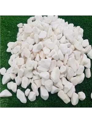 Esranın Dünyası Beyaz Dolomit Taş 25 Kg, 1,5-2 cm Dere Çakıl Taşı, Bahçe ve Teraryum Için