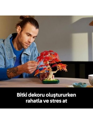 Khi-Zai Japon Kırmızı Akçaağaç Bonsai Ağacı 10348 - Kırmızı ve Kehribar Sarısı Yapraklara Sahip Yapay Bitki Içeren Sevgililer Günü'ne Özel Model Yapım Seti (474 Parça)
