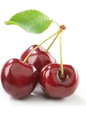 Esranın Dünyası Gardenbox Iri Meyveli Napolyon Kiraz Fidanı, Tüplü, 2 Yaş, Bol Verimli