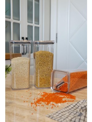 Esranın Dünyası Evle Pratik Kapak Saklama Kabı 3 x 1,2 L, Çok Renkli