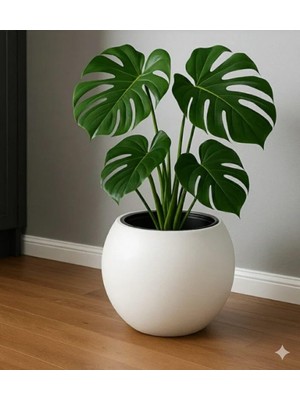 Brf Store Prime Dekoratif Modern Tasarım 7,5 Litre Küre Saksı Plastik Dekoratif Çiçeklik Beyaz Renk Hazneli