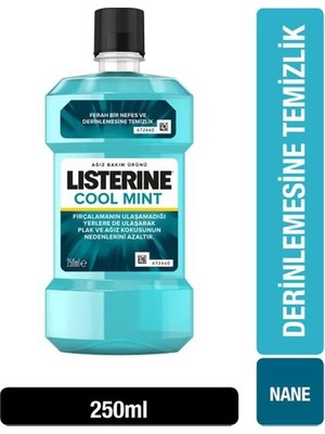 Coolmint 250ML 1 Adet