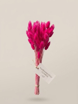 Kahramanoğlu Flowers Toz Pembe Kurutulmuş Pamuk Otu Demeti (Lagurus / Tavşan Kuyruğu)