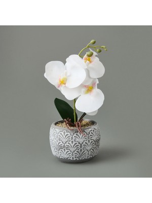 Matmel Etnik Desenli Beton Saksı Real Touch Orkide - Asorti - 28X12X12 cm