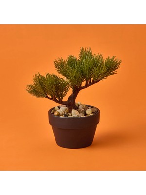 Matmel Bonsai Çiçek - Asorti - 19 cm