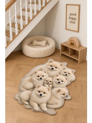 Zng Design Home Pomeranian Krem Köpek Figürlü Mama Halısı ve Paspası, Kaymaz Yıkanabilir, Farklı Ölçü