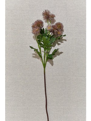 Astera Karahindiba 56 cm Mor Yapma Çiçek