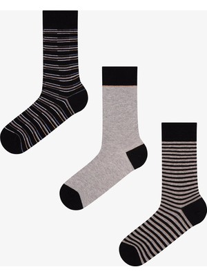 Penti Erkek Siyah Soft Fitilli Pamuklu 3 Çift Soket Çorap