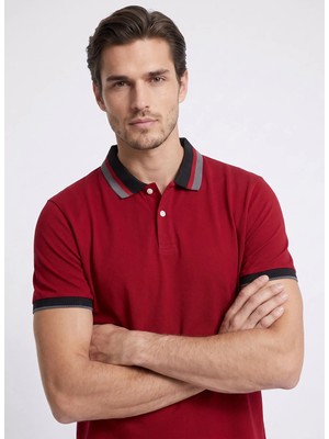 Altınyıldız Classics Bordo Erkek Slim Fit Çizgili Polo T-Shirt ACE091262034