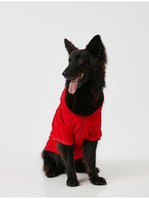 Odea Koton Brooklyn Team Küçük-Orta Irk Köpek Sweatshirtü (Medium)
