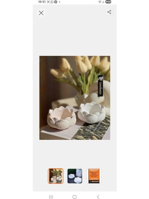 Mihristan Lotus Çiçeği Alçı Kase