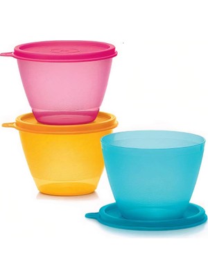 Esranın Dünyası Tupperware Renkli Buzdolabı Kapları 3'lü