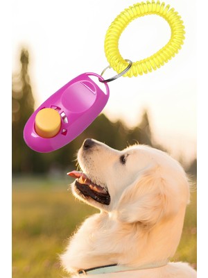1001 Köpek Eğitim Clicker Tasma Tuvalet Eğitimi Için Kullanılabilir Köpek Eğitim Aparatı