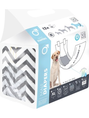 1001 Dıapers Erkek Köpekler Için Külot (Xl) 12Lİ
