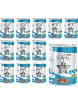 Aesco Balıklı Yetişkin Kedi Pate Konservesi - 400 gr x 12 Adet