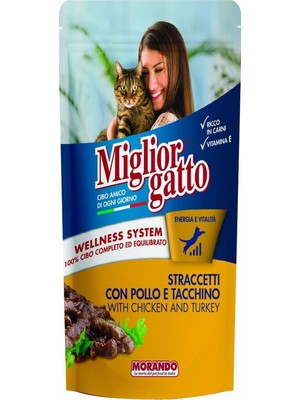 Aesco Miglior Gatto Tavuklu Hindili Yaş Kedi Maması 100 gr