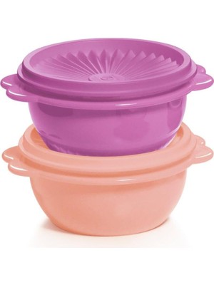 Aesco Tupperware Yıldız Kap 2'li Gıda Saklama Kabı 400ML Mor ve Somon