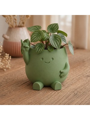 Belirtilmemiş 3D Baskı Smiley Face Planter - Gülümseyen Karakterli Saksı-Yeşil