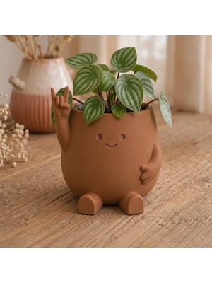 Belirtilmemiş 3D Baskı Smiley Face Planter - Gülümseyen Karakterli Saksı-Kahverengi