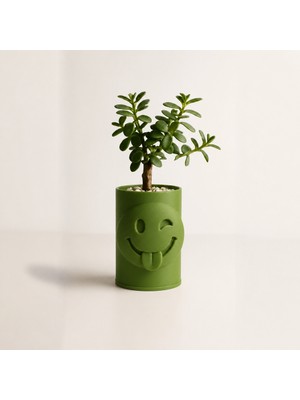 Belirtilmemiş 3D Baskı Emoji Planter - Göz Kırpan Yüzlü Sukulent Saksısı-Yeşil