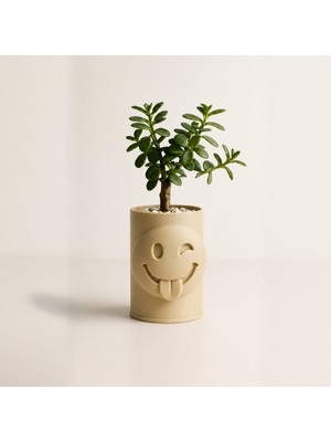Belirtilmemiş 3D Baskı Emoji Planter - Göz Kırpan Yüzlü Sukulent Saksısı-Bej