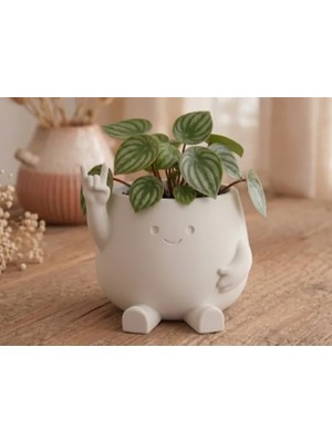 Belirtilmemiş 3D Baskı Smiley Face Planter - Gülümseyen Karakterli Saksı-Beyaz